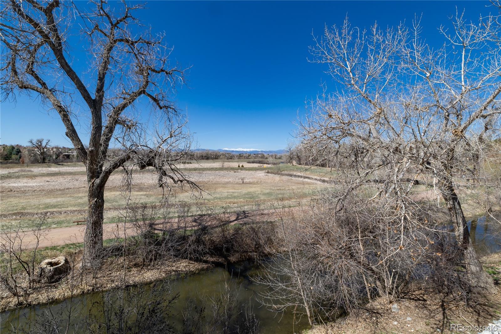 MLS Image #24 for 22  blue heron drive,greenwood village, Colorado