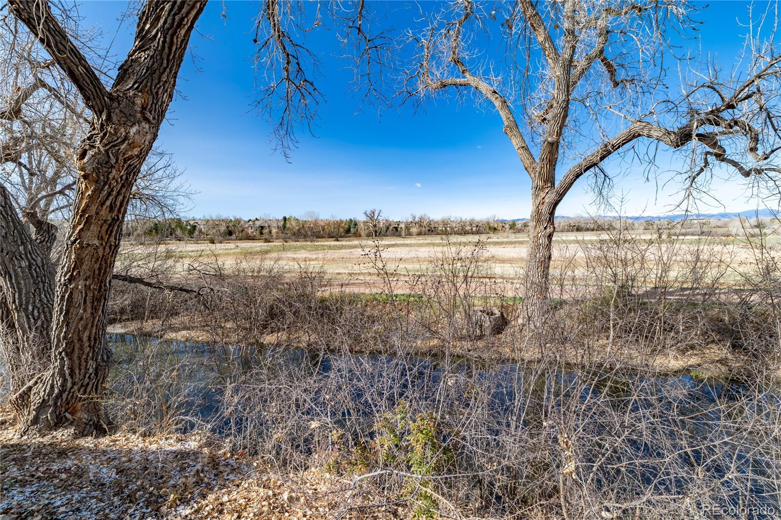 MLS Image #45 for 22  blue heron drive,greenwood village, Colorado