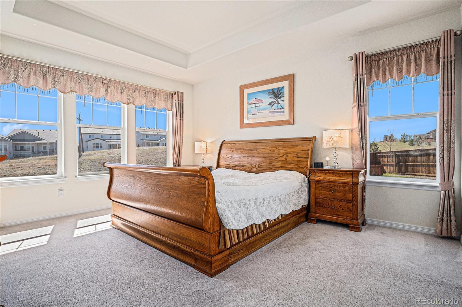 MLS Image #10 for 15139  munich avenue,parker, Colorado