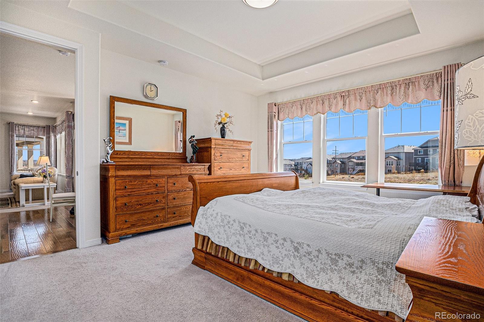MLS Image #11 for 15139  munich avenue,parker, Colorado