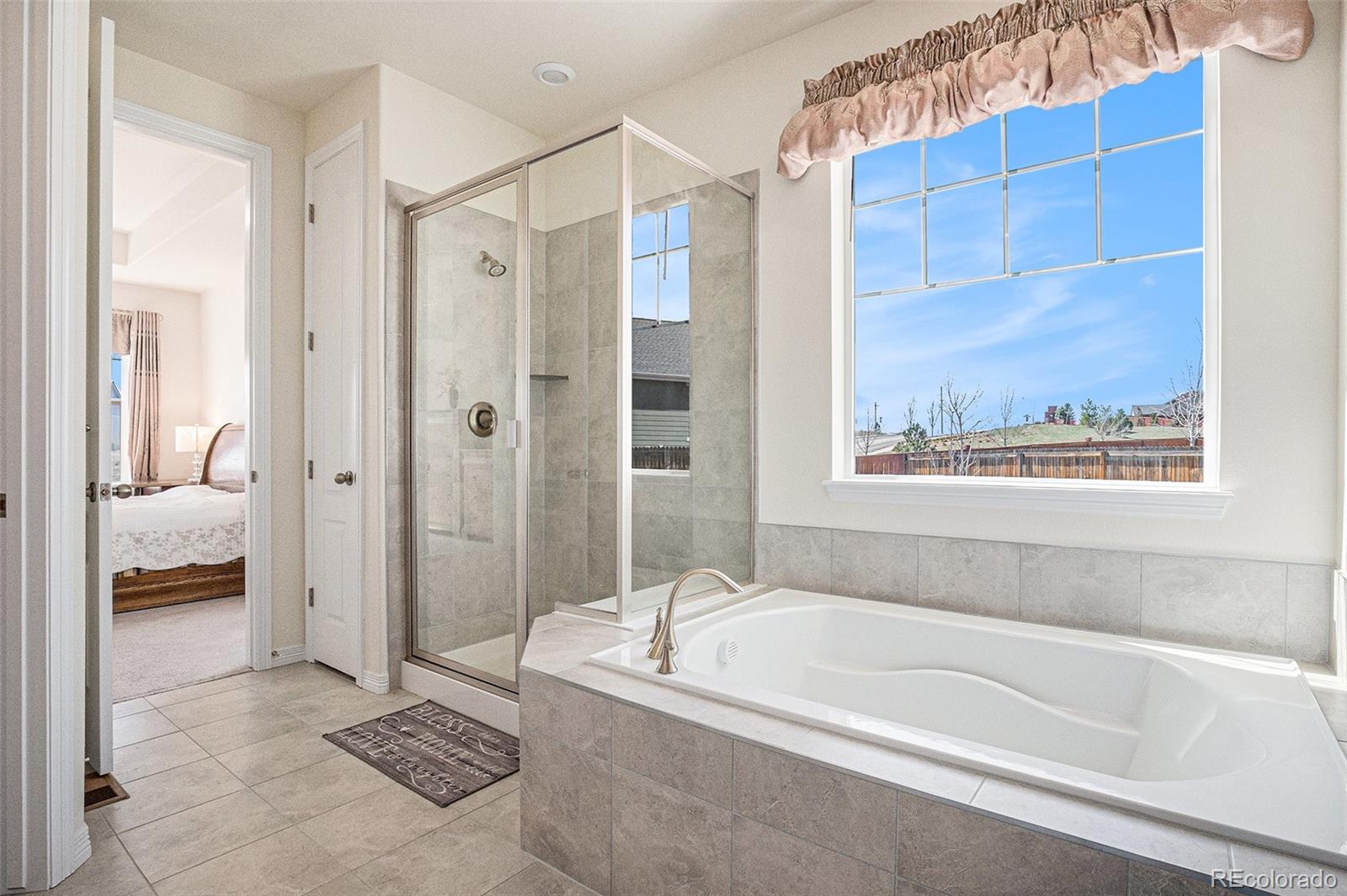 MLS Image #13 for 15139  munich avenue,parker, Colorado