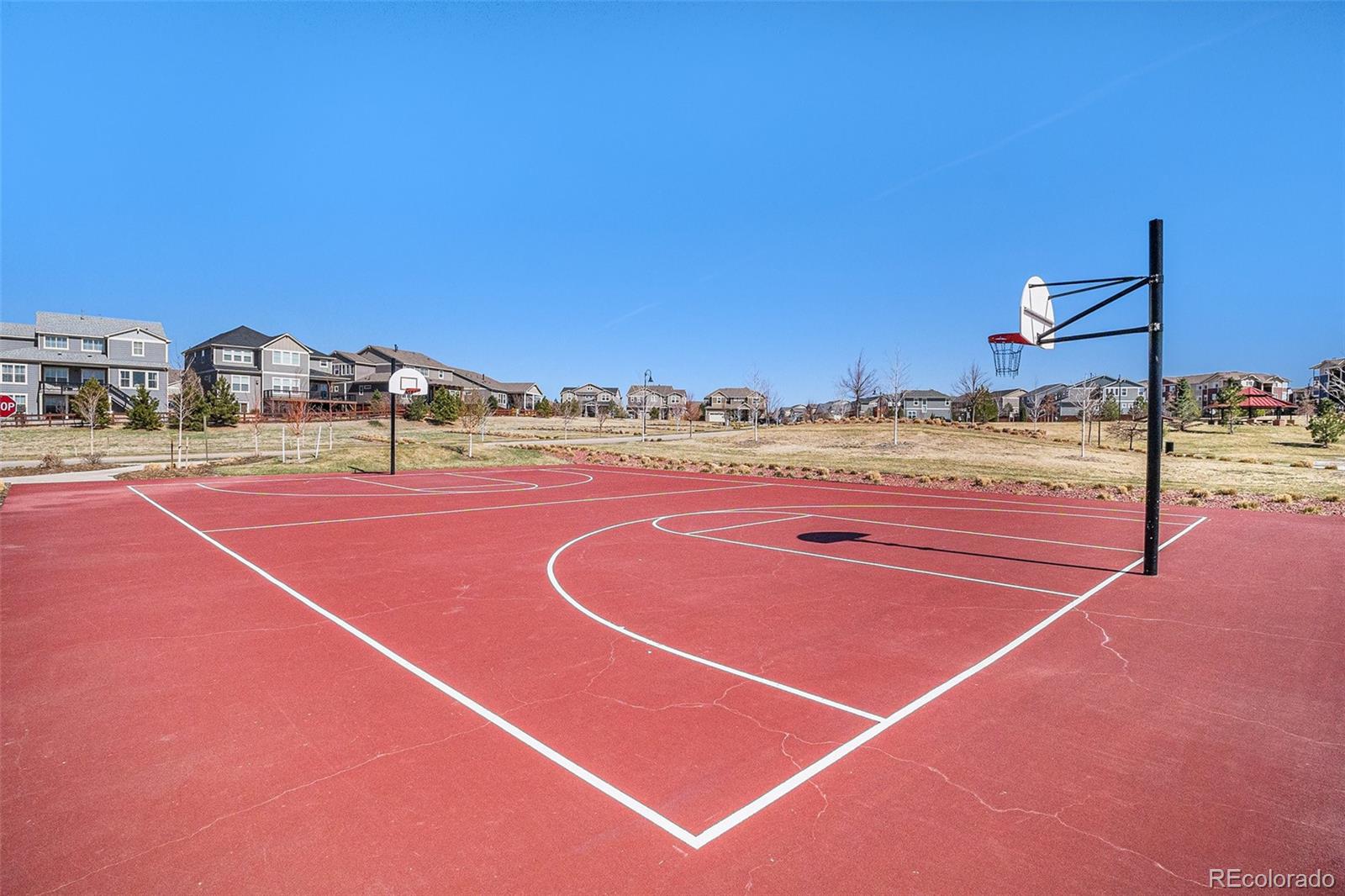 MLS Image #23 for 15139  munich avenue,parker, Colorado