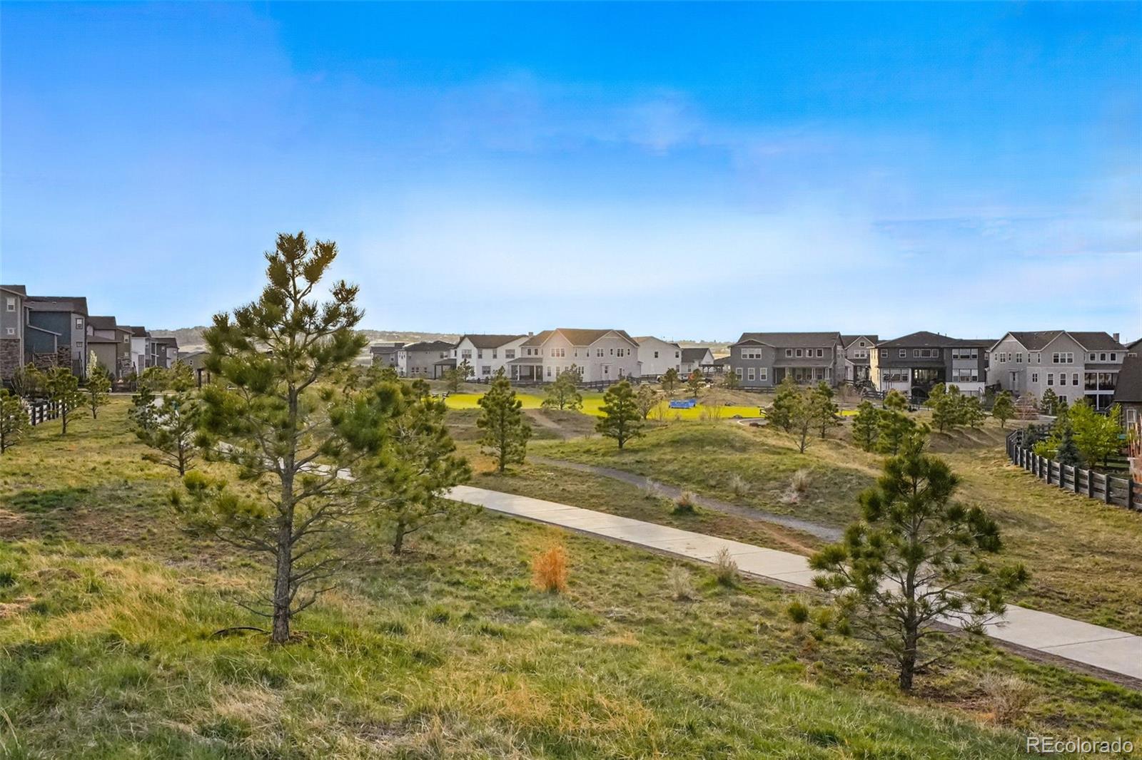 MLS Image #38 for 6469  barnstead drive,castle pines, Colorado