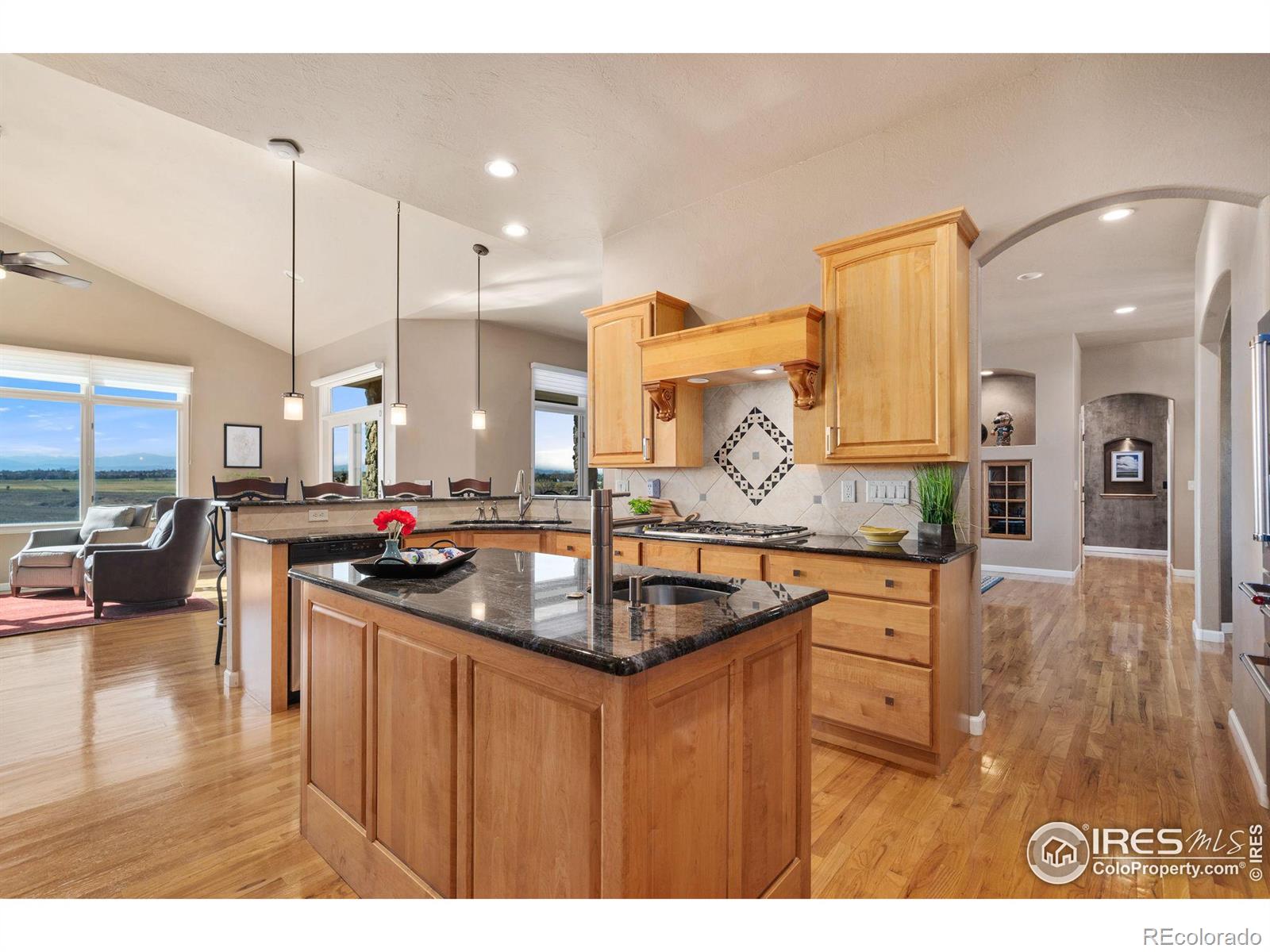 MLS Image #10 for 1532  arroyo drive,windsor, Colorado