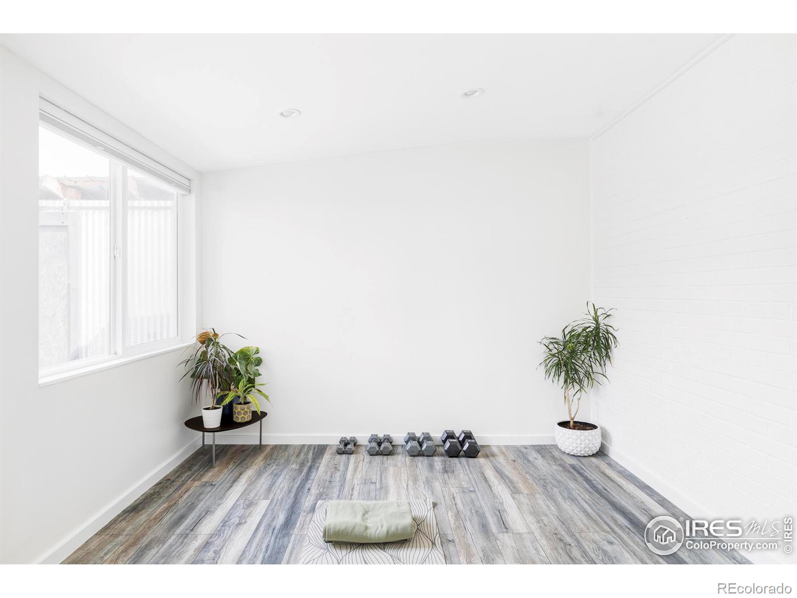 MLS Image #18 for 1051  sumac street,longmont, Colorado