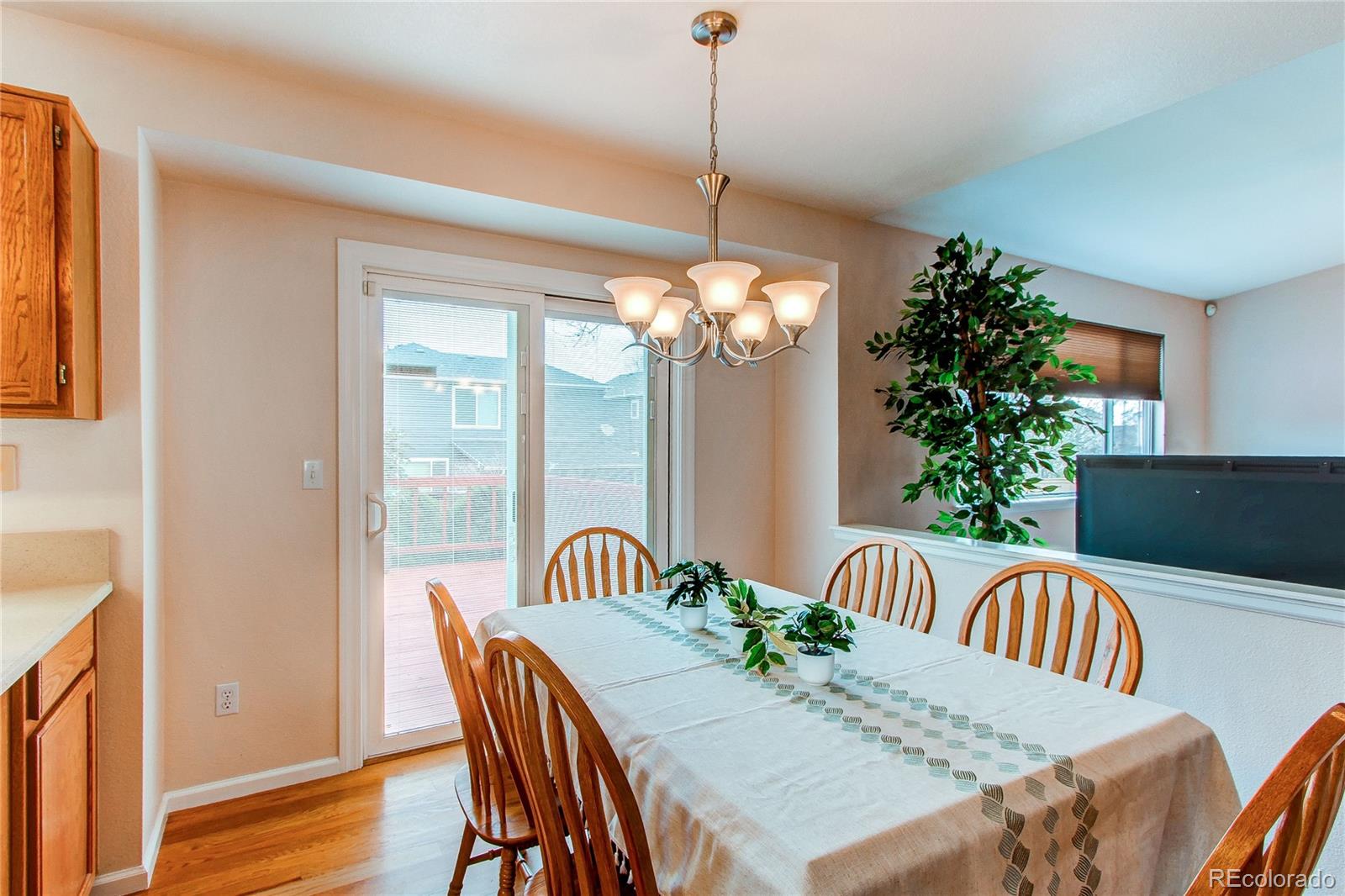 MLS Image #11 for 10652  hyacinth street,highlands ranch, Colorado