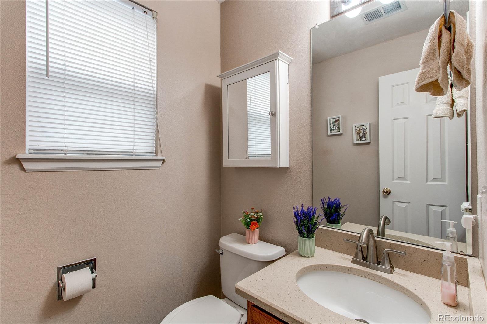 MLS Image #14 for 10652  hyacinth street,highlands ranch, Colorado