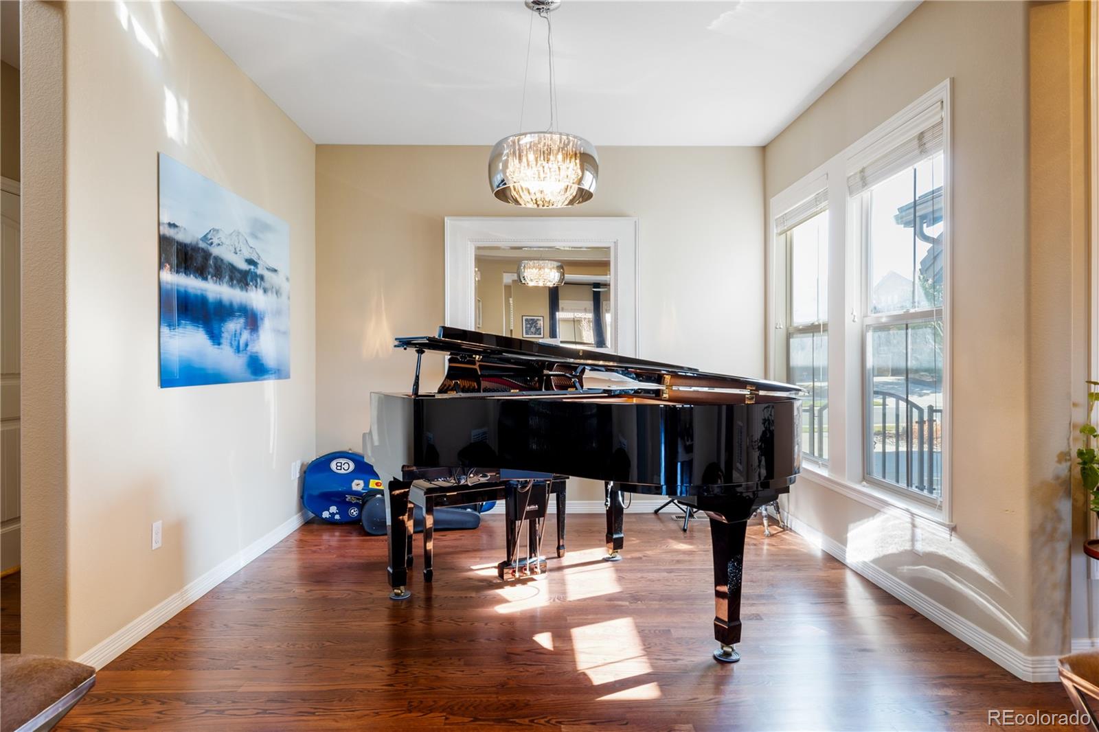 MLS Image #10 for 10681  sundial rim road,highlands ranch, Colorado