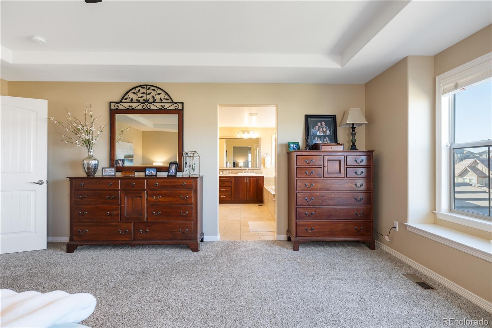MLS Image #20 for 10681  sundial rim road,highlands ranch, Colorado