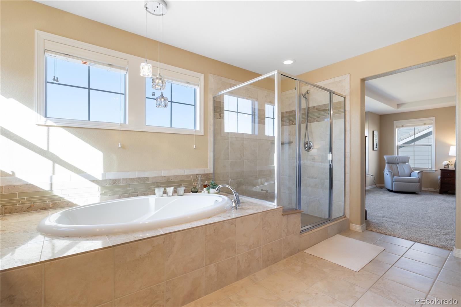 MLS Image #22 for 10681  sundial rim road,highlands ranch, Colorado