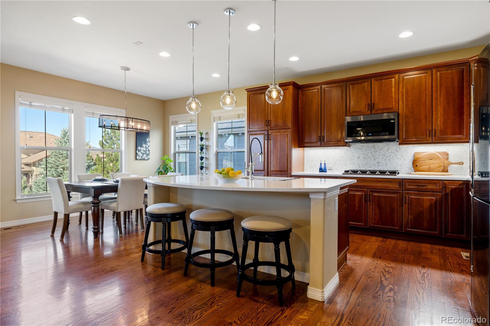 MLS Image #5 for 10681  sundial rim road,highlands ranch, Colorado
