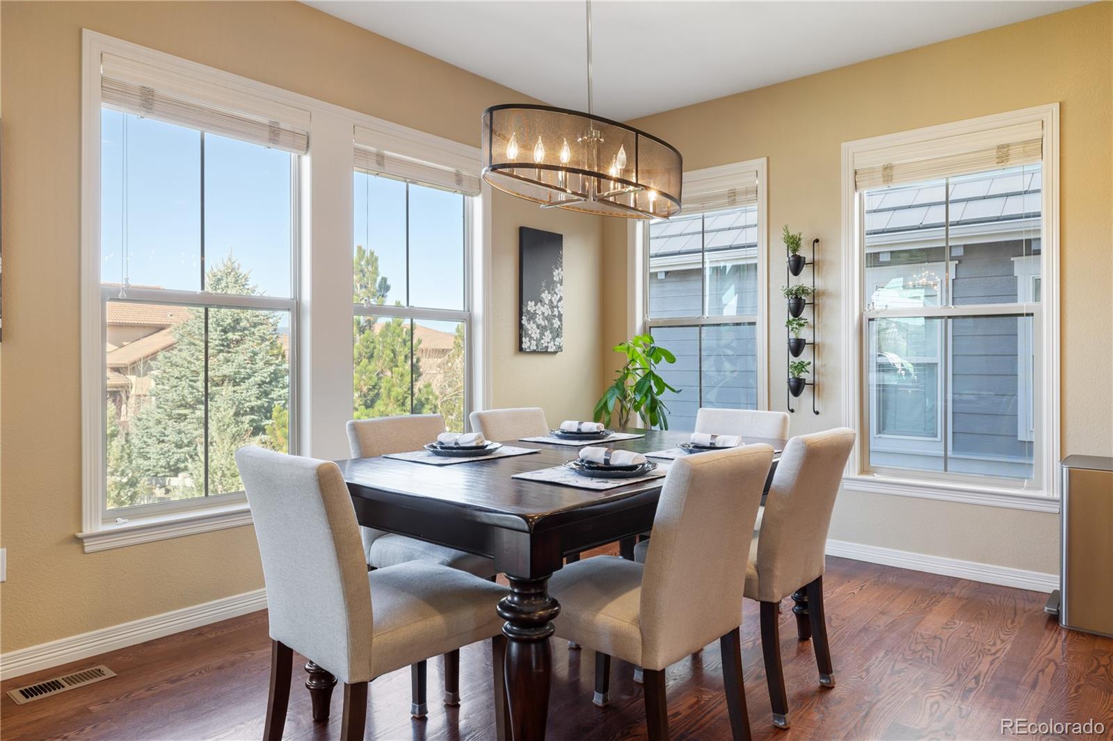 MLS Image #8 for 10681  sundial rim road,highlands ranch, Colorado