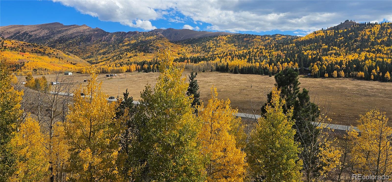 MLS Image #4 for 12199 s state highway 67 ,divide, Colorado