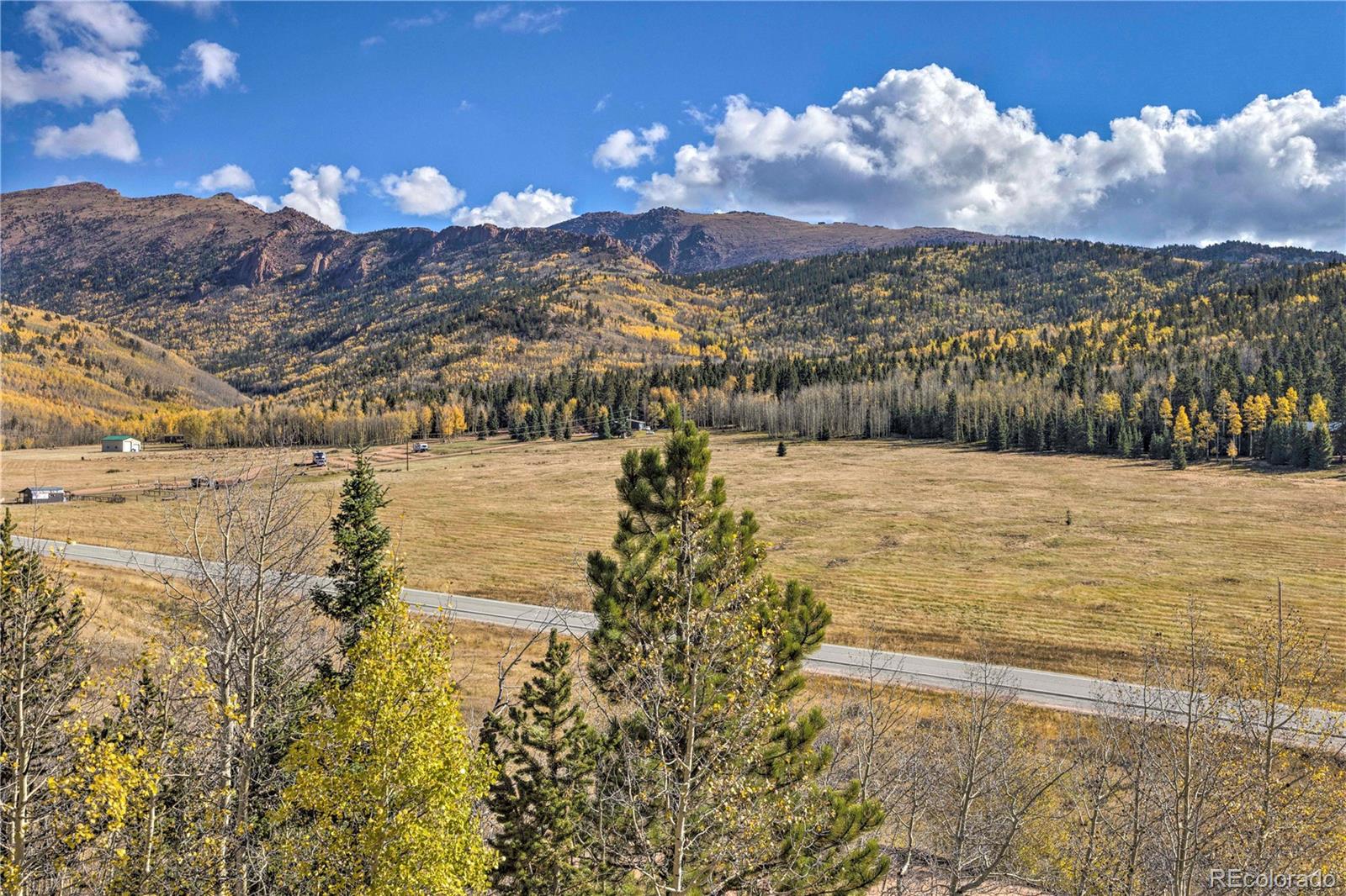 MLS Image #43 for 12199 s state highway 67 ,divide, Colorado