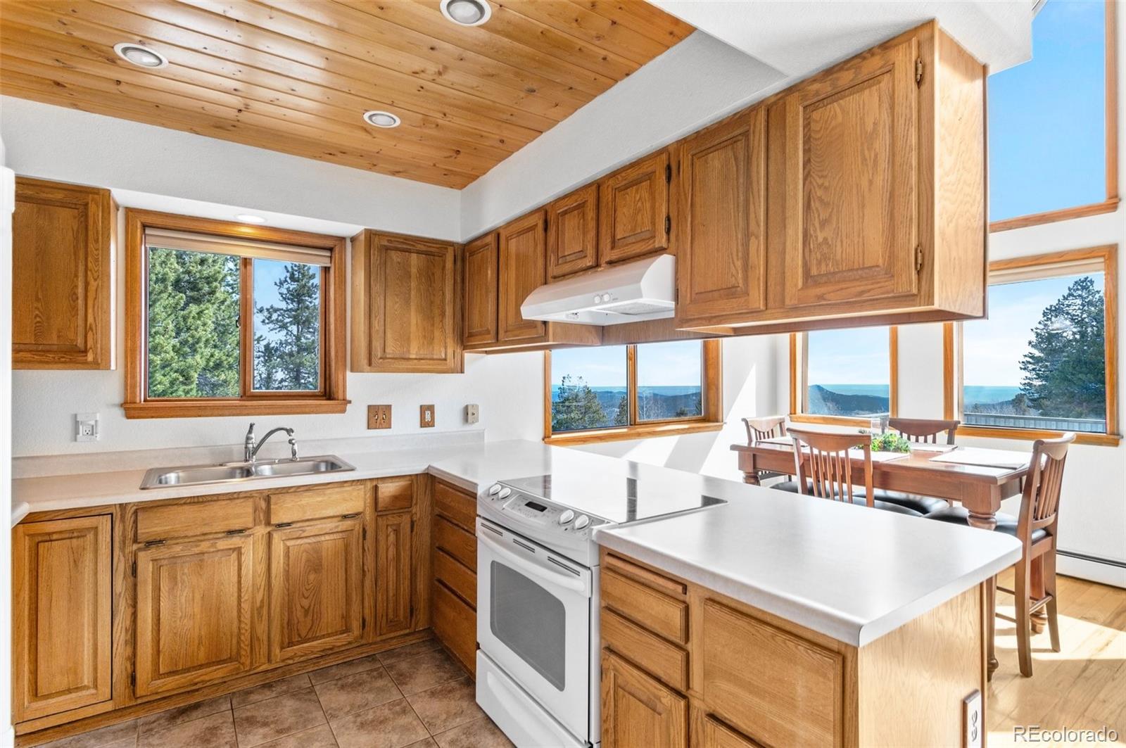 MLS Image #17 for 10747  timothys drive,conifer, Colorado