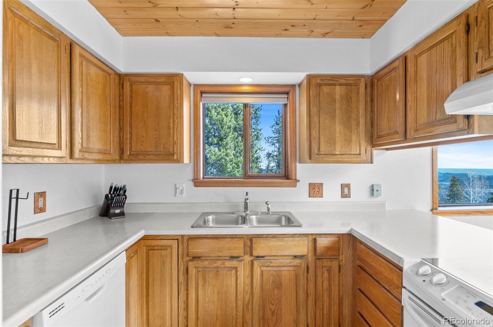 MLS Image #18 for 10747  timothys drive,conifer, Colorado