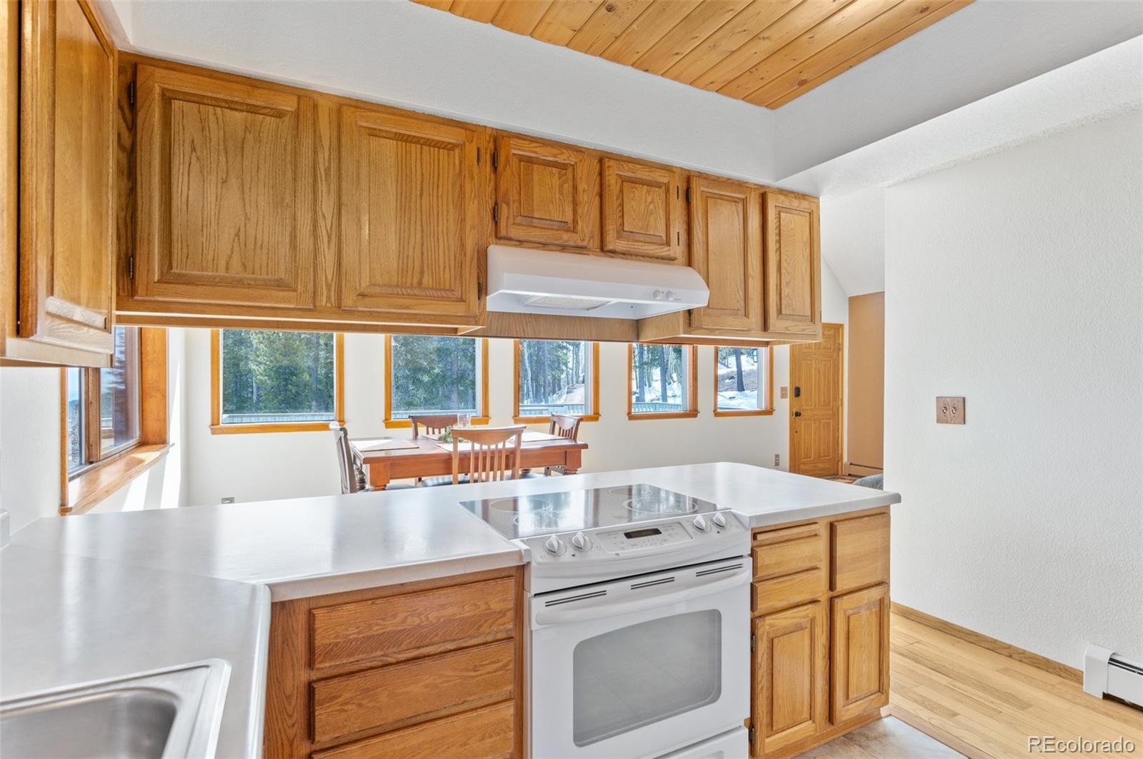 MLS Image #19 for 10747  timothys drive,conifer, Colorado