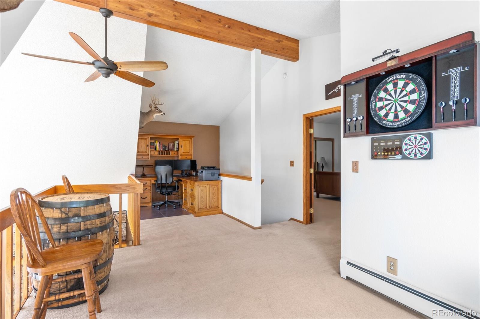 MLS Image #21 for 10747  timothys drive,conifer, Colorado