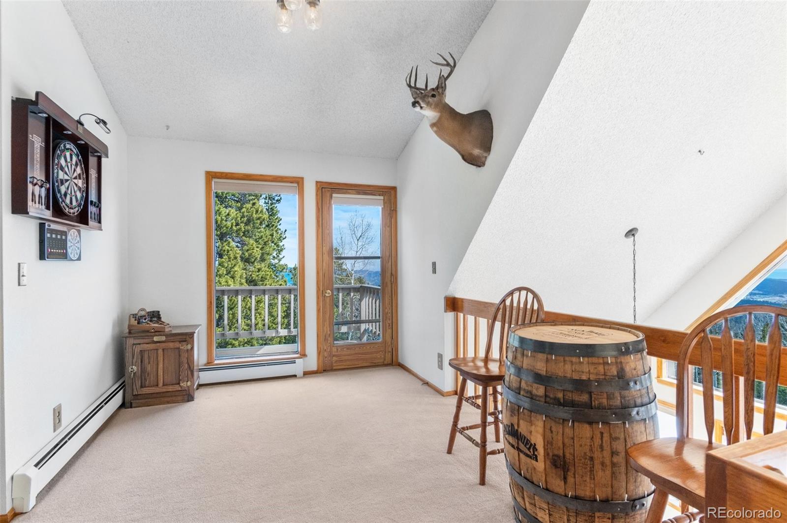 MLS Image #22 for 10747  timothys drive,conifer, Colorado