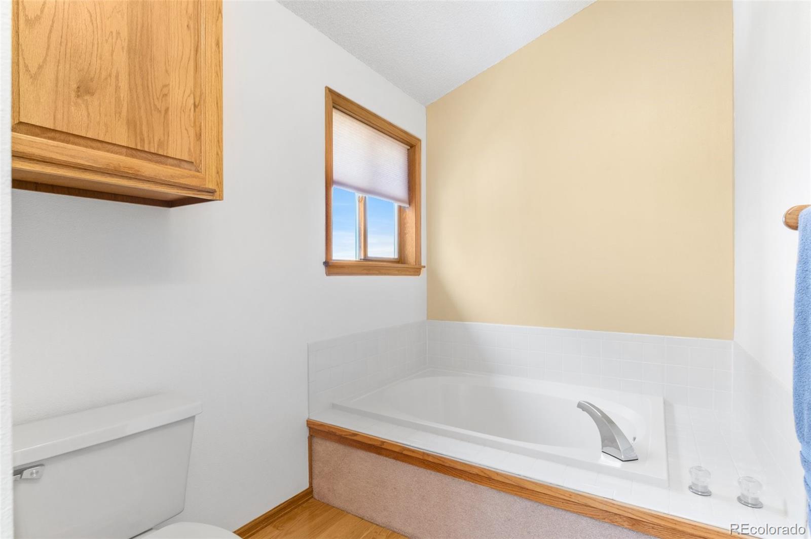 MLS Image #26 for 10747  timothys drive,conifer, Colorado