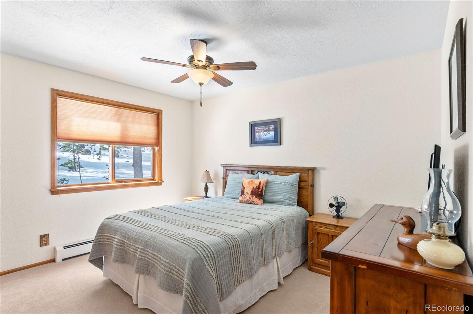 MLS Image #28 for 10747  timothys drive,conifer, Colorado