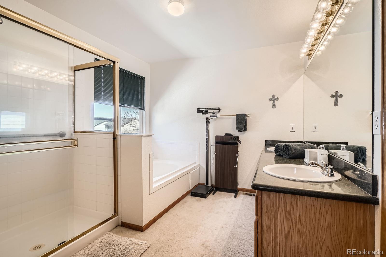 MLS Image #19 for 237  cherry street,castle rock, Colorado