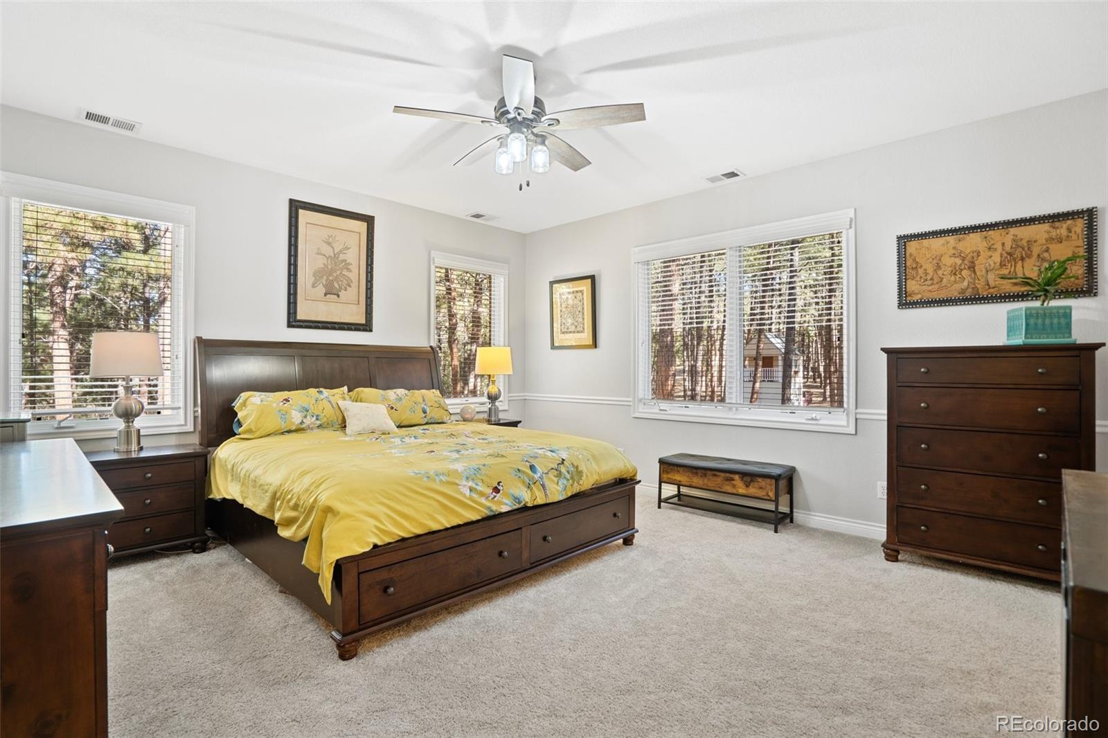 MLS Image #18 for 19825  twisted pine drive,colorado springs, Colorado