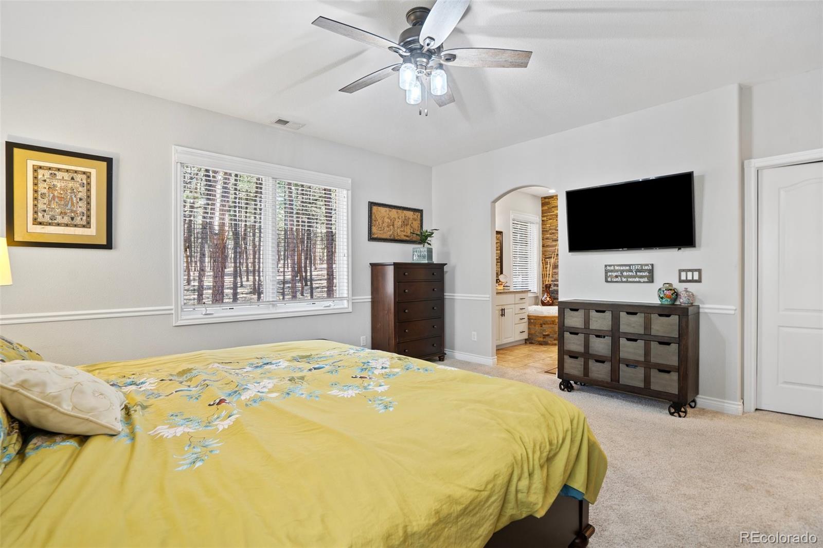 MLS Image #20 for 19825  twisted pine drive,colorado springs, Colorado