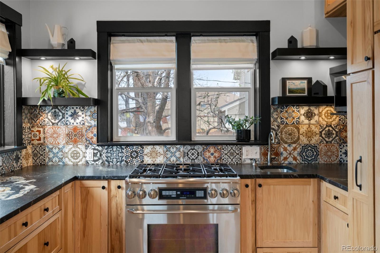 MLS Image #18 for 2521 n vine street,denver, Colorado