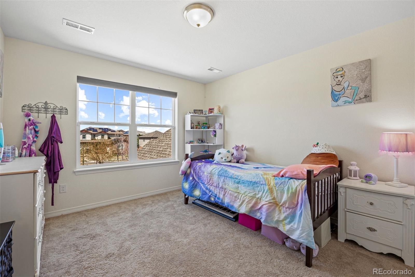 MLS Image #23 for 7950 s blackstone parkway,aurora, Colorado