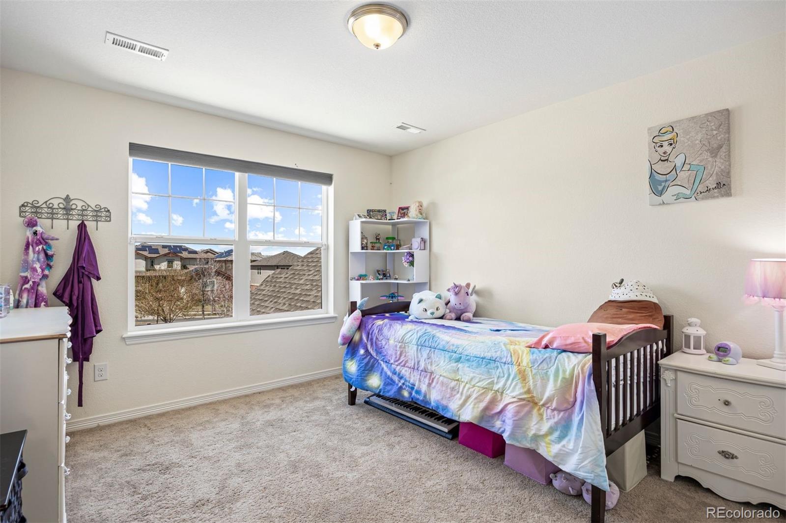 MLS Image #27 for 7950 s blackstone parkway,aurora, Colorado