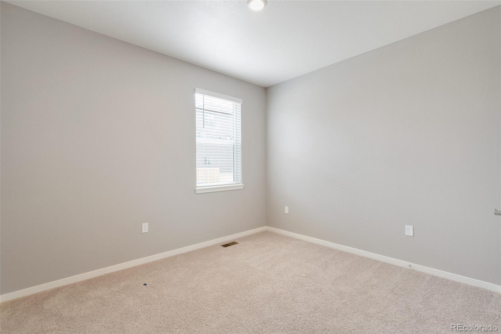 MLS Image #13 for 18102  coppermallow trail,parker, Colorado