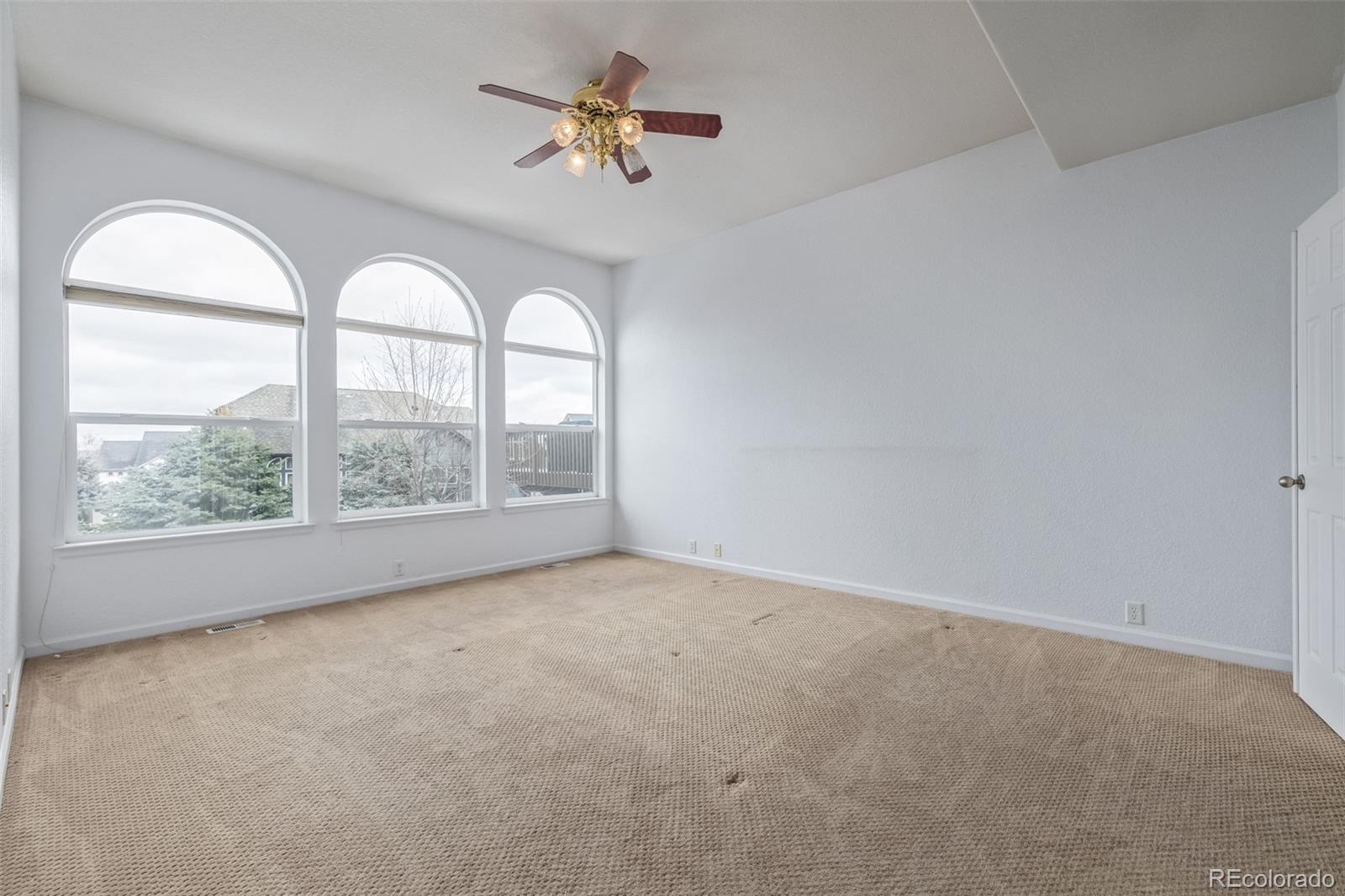MLS Image #10 for 1445  colebrook court,castle rock, Colorado