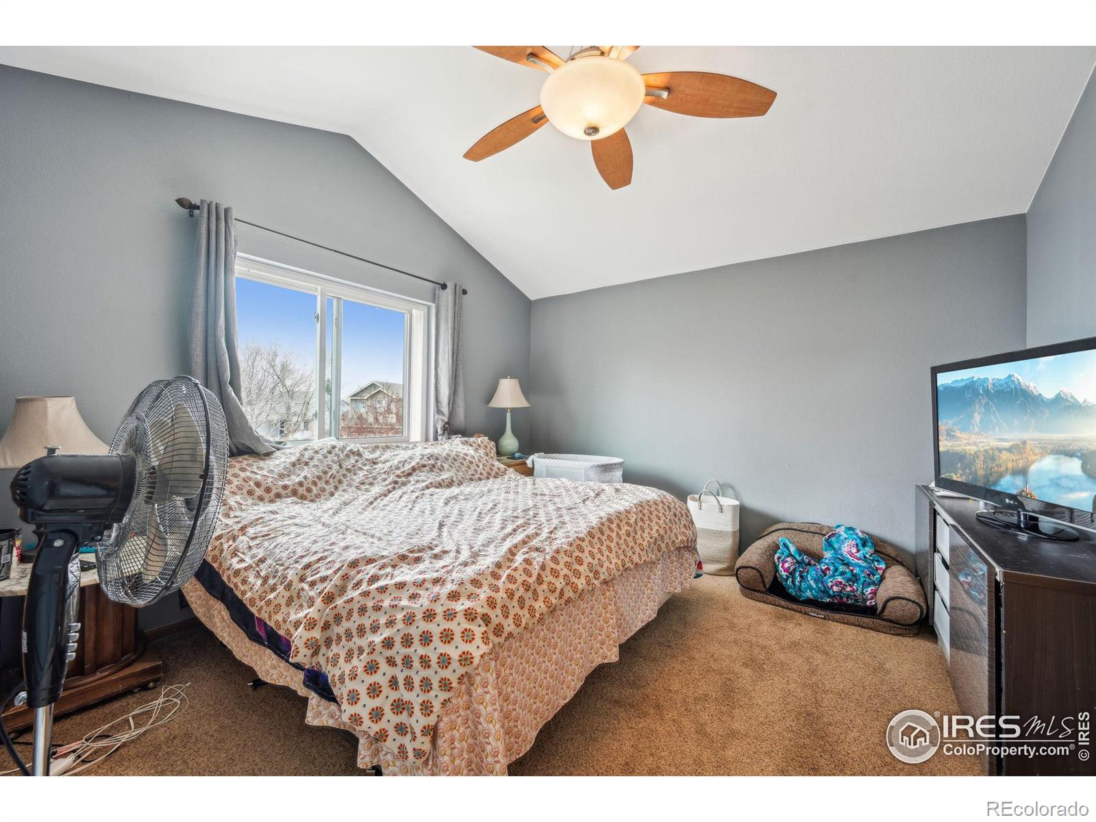 MLS Image #17 for 12597  eliot street,broomfield, Colorado