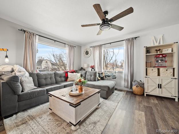 MLS Image #8 for 321 s lake street,fort morgan, Colorado