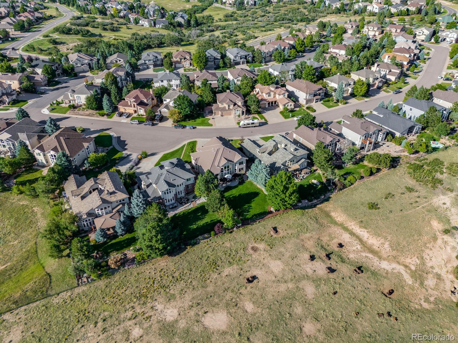 MLS Image #3 for 6116  vacquero drive,castle pines, Colorado