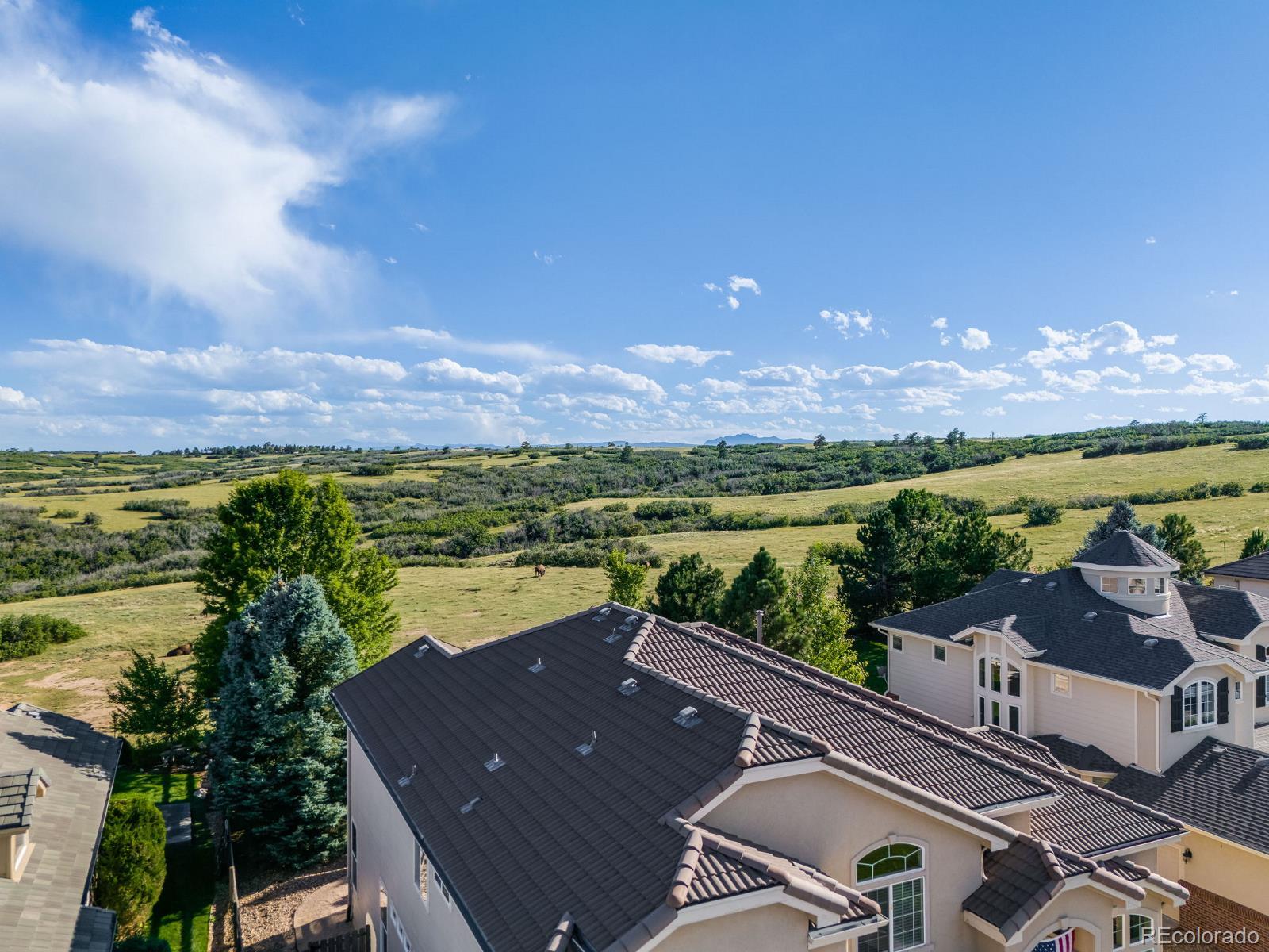 MLS Image #41 for 6116  vacquero drive,castle pines, Colorado