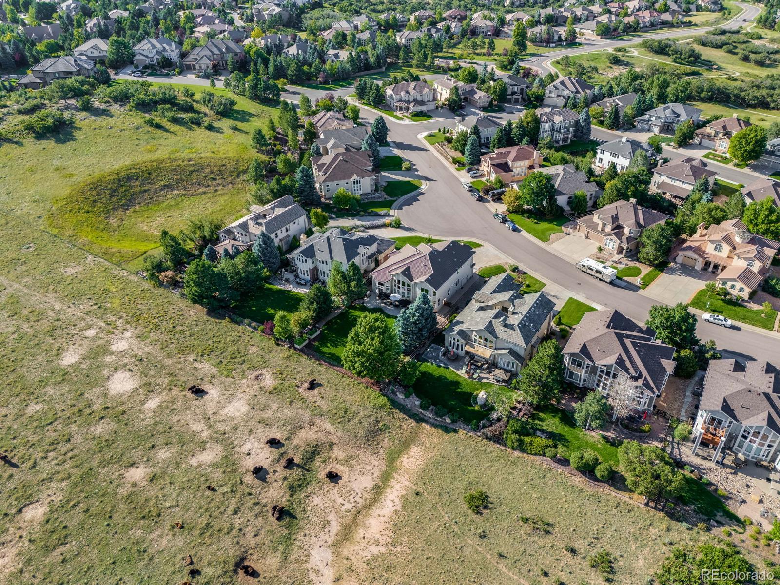 MLS Image #42 for 6116  vacquero drive,castle pines, Colorado