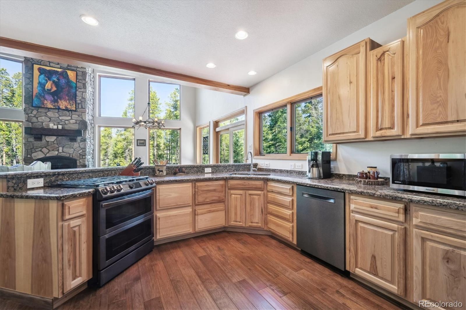 MLS Image #11 for 8754  carol lane,conifer, Colorado