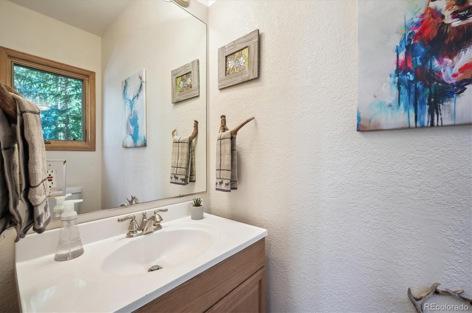MLS Image #14 for 8754  carol lane,conifer, Colorado