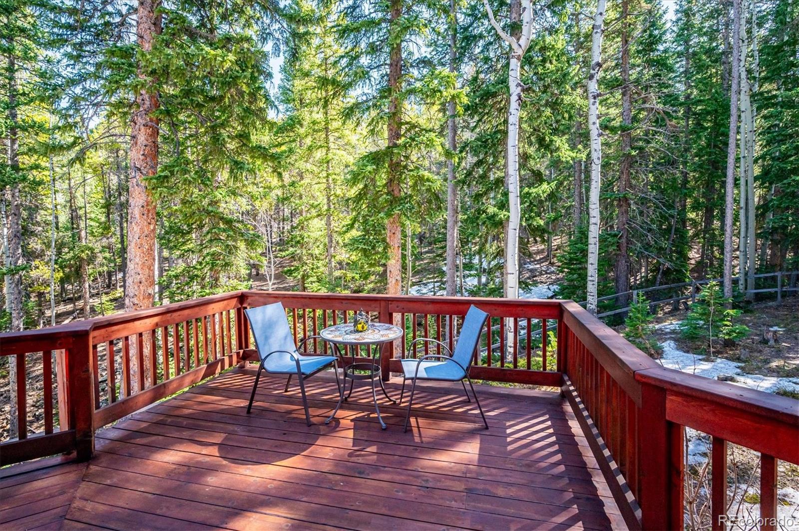 MLS Image #38 for 8754  carol lane,conifer, Colorado