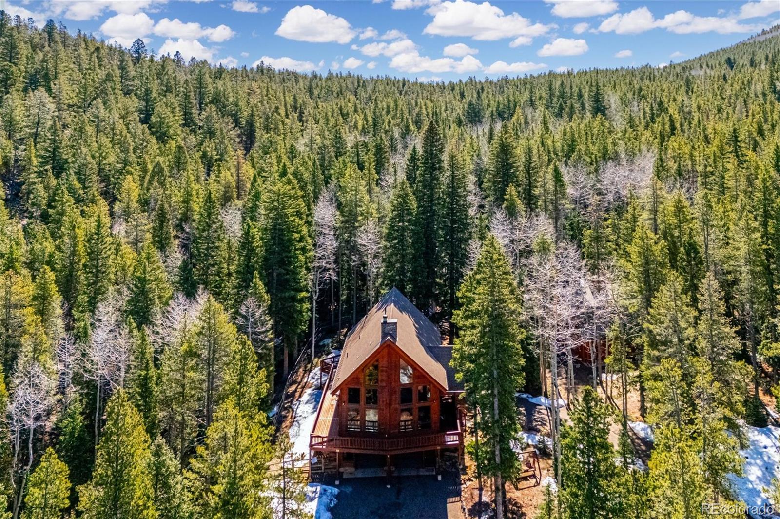 MLS Image #46 for 8754  carol lane,conifer, Colorado