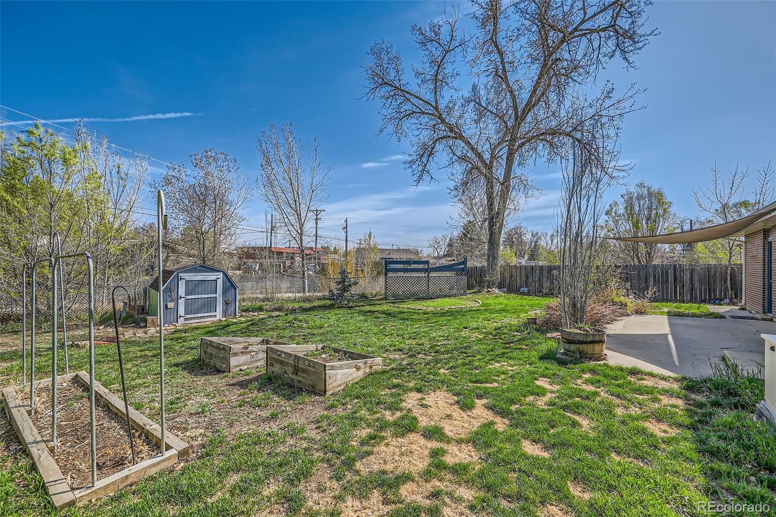 MLS Image #15 for 1060 s coffman street,longmont, Colorado
