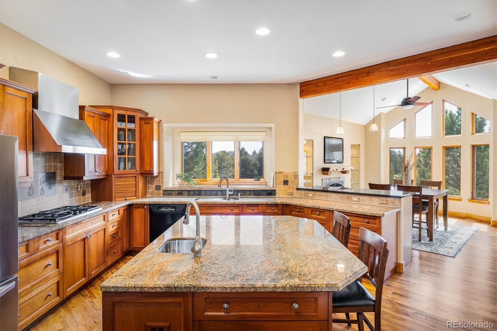 MLS Image #11 for 1564  steamboat court,evergreen, Colorado