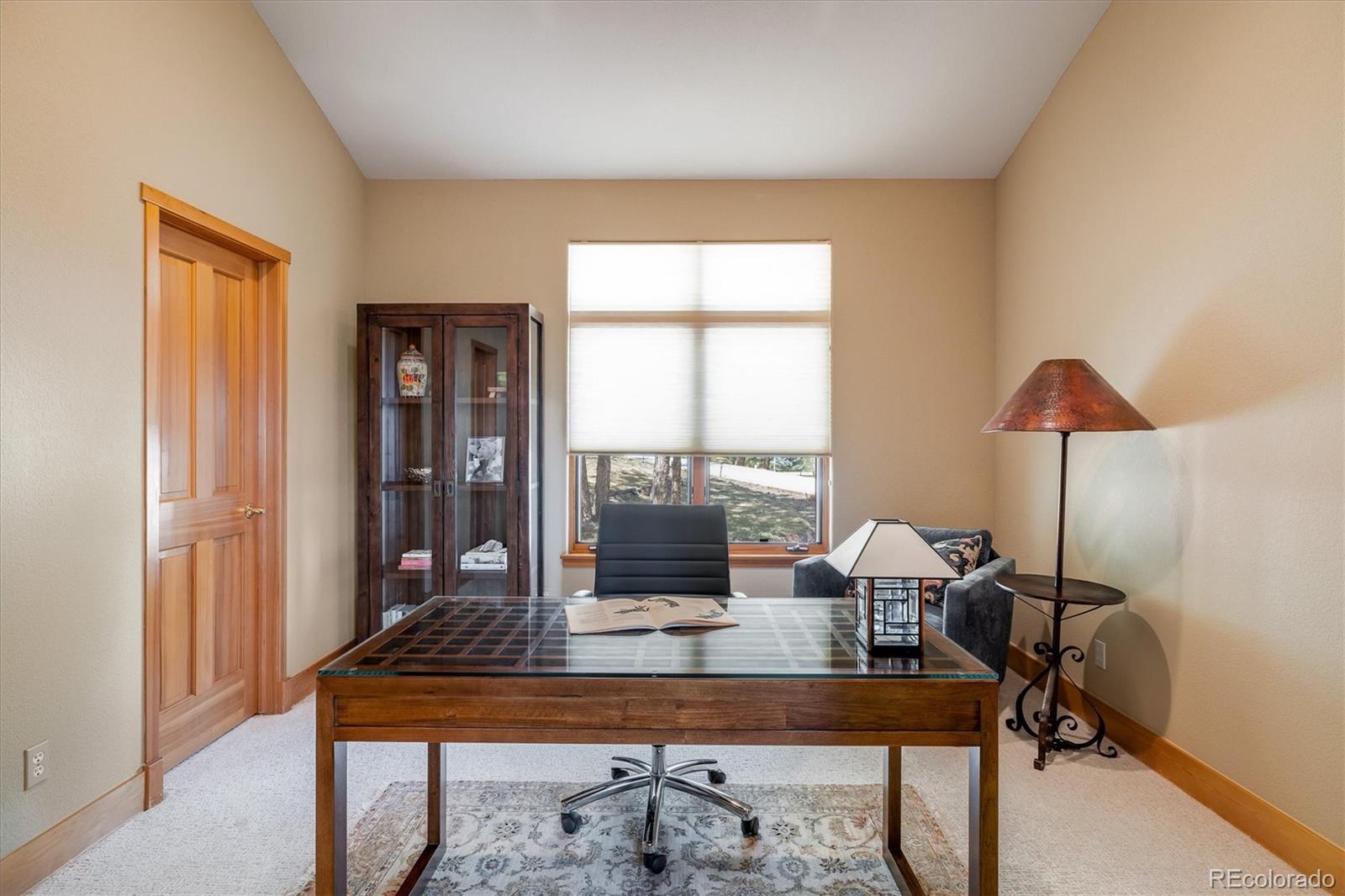 MLS Image #20 for 1564  steamboat court,evergreen, Colorado