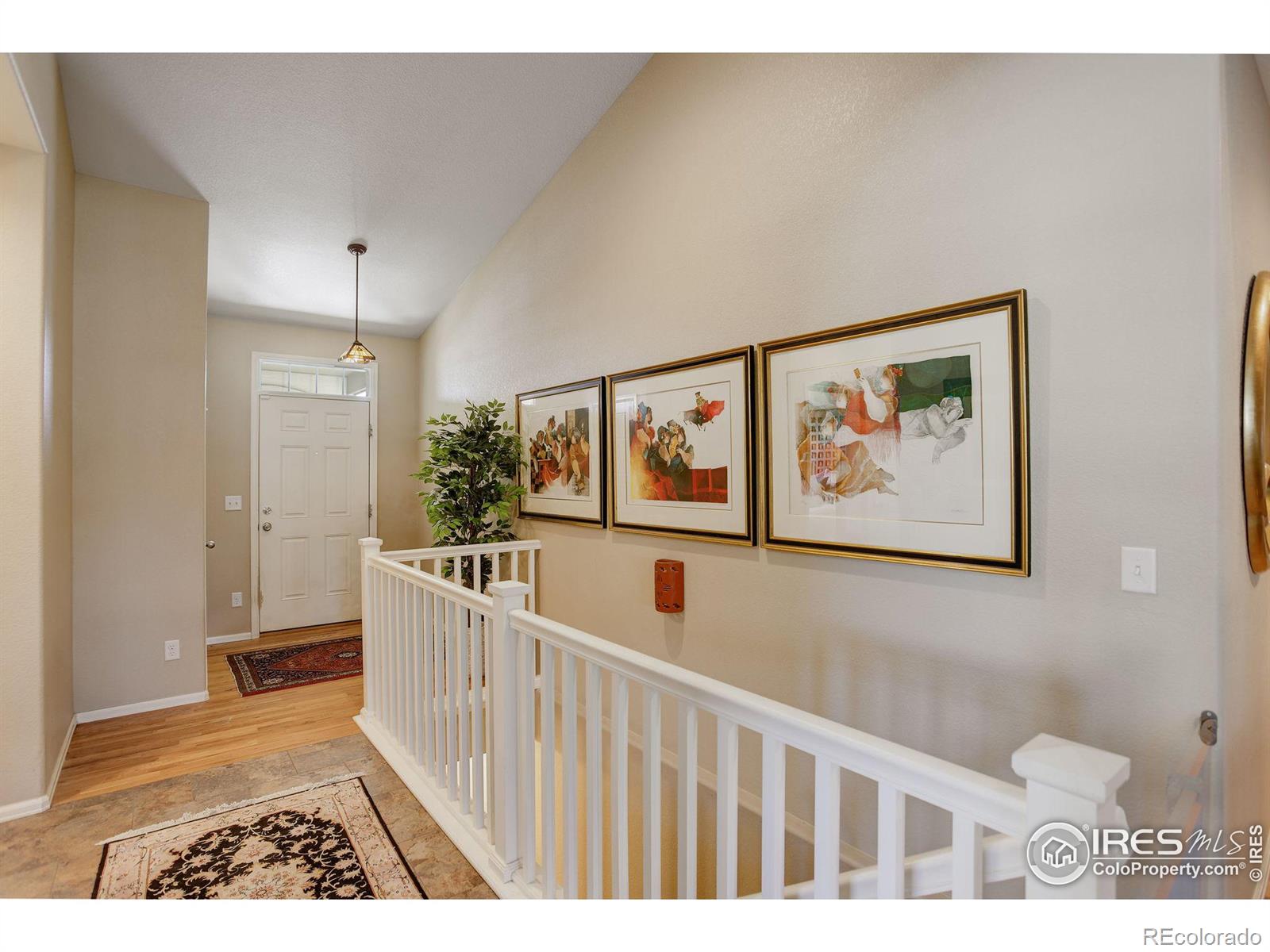 MLS Image #16 for 133  peppler drive,longmont, Colorado