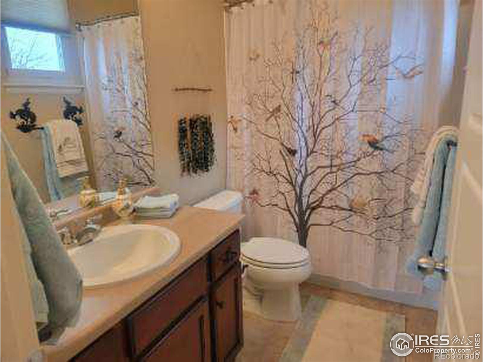MLS Image #18 for 133  peppler drive,longmont, Colorado