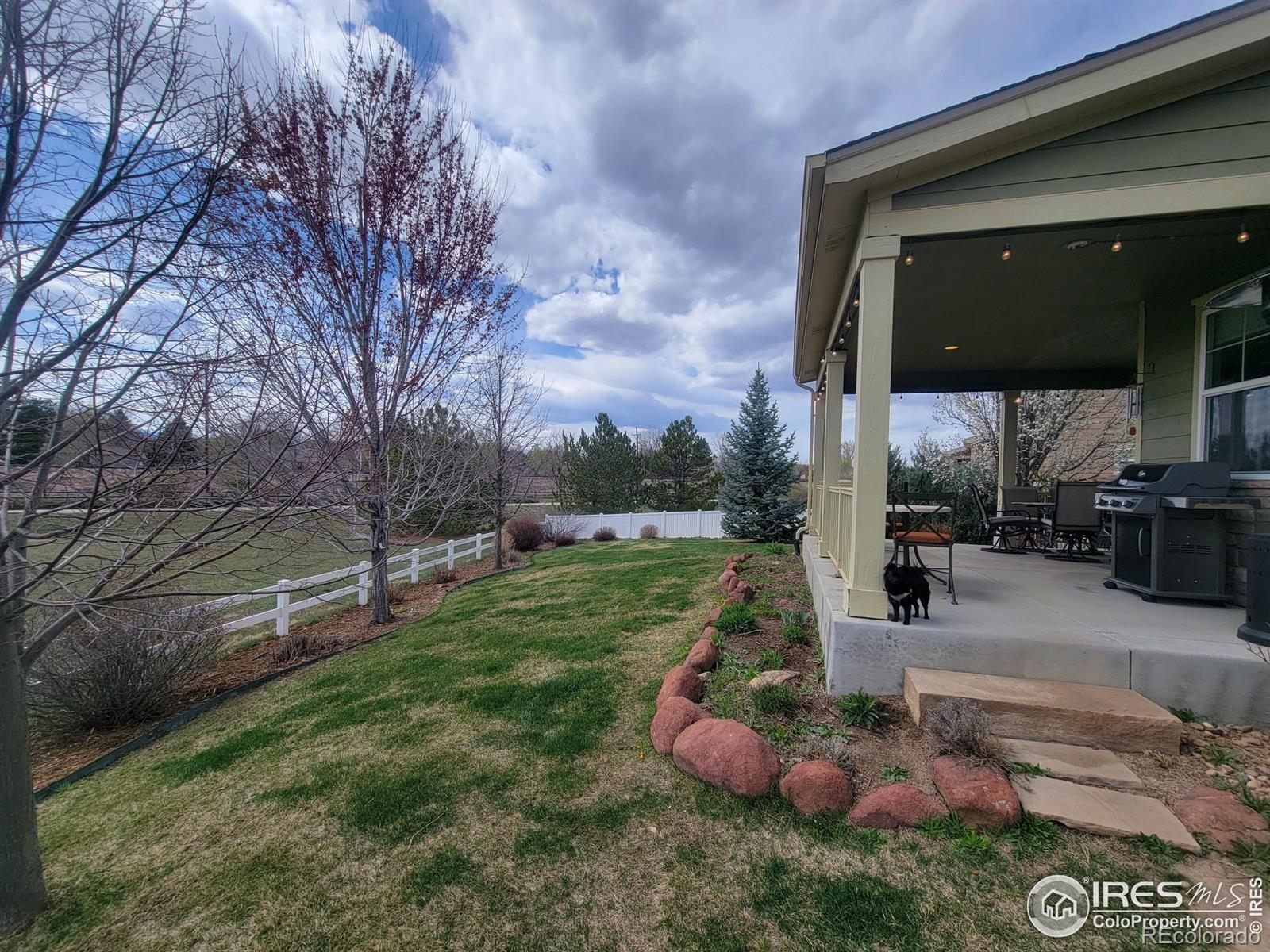 MLS Image #25 for 133  peppler drive,longmont, Colorado