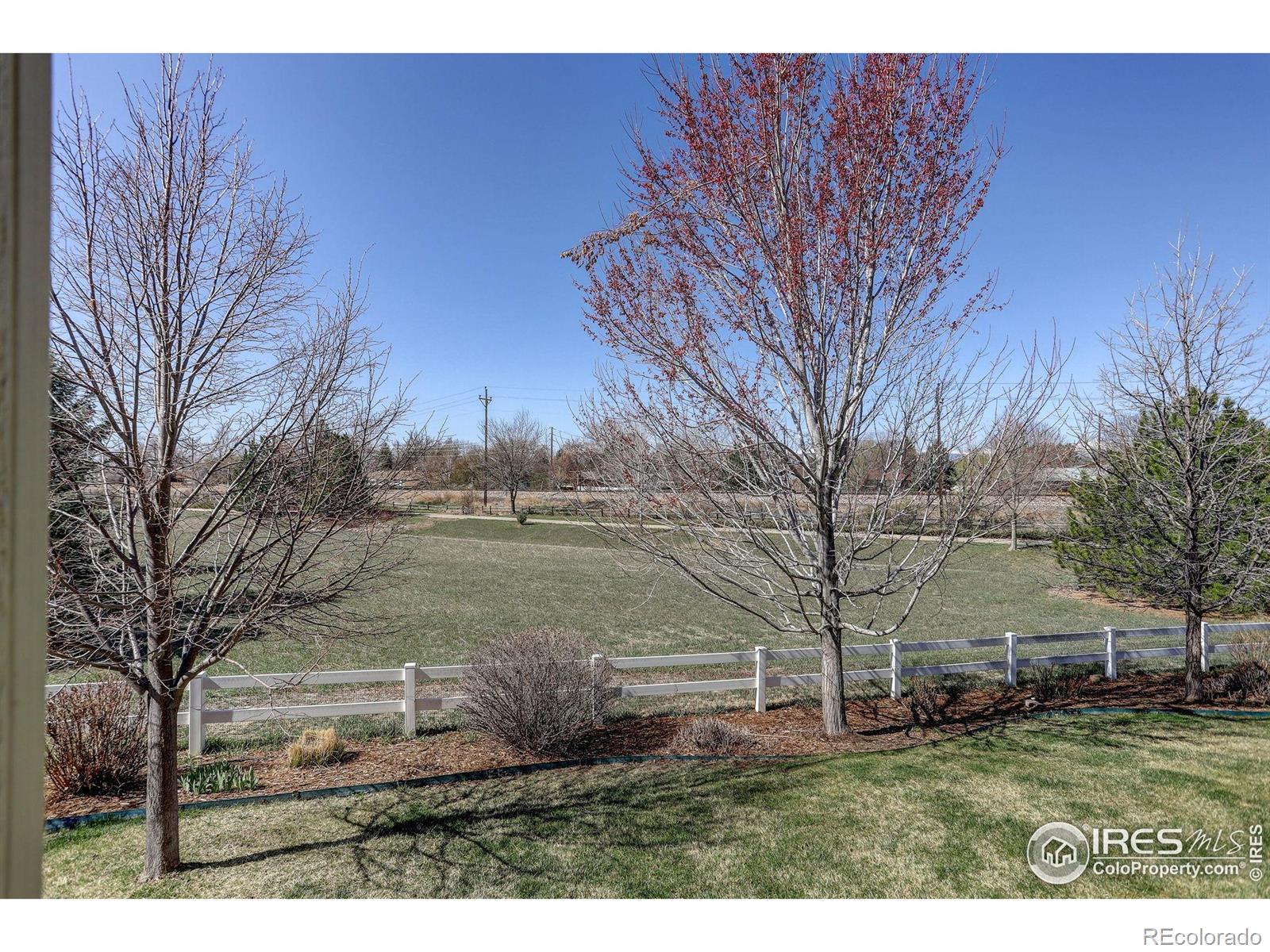 MLS Image #28 for 133  peppler drive,longmont, Colorado