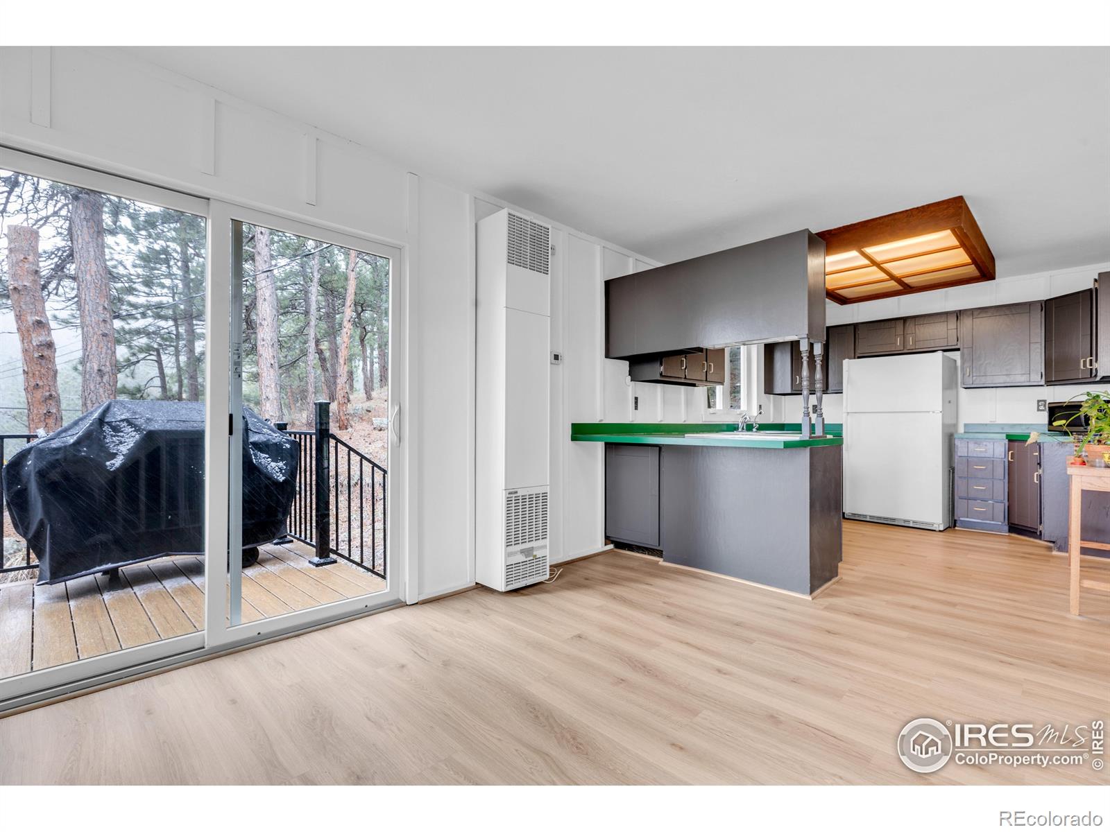 MLS Image #7 for 287  brook circle,boulder, Colorado